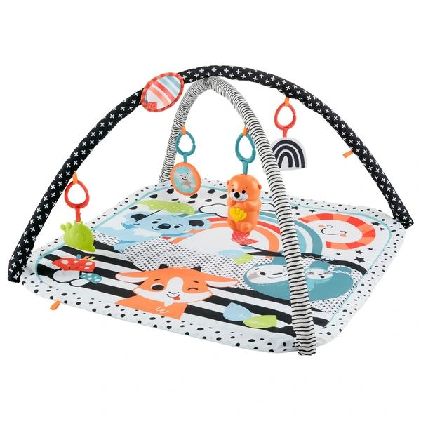 Play Gym